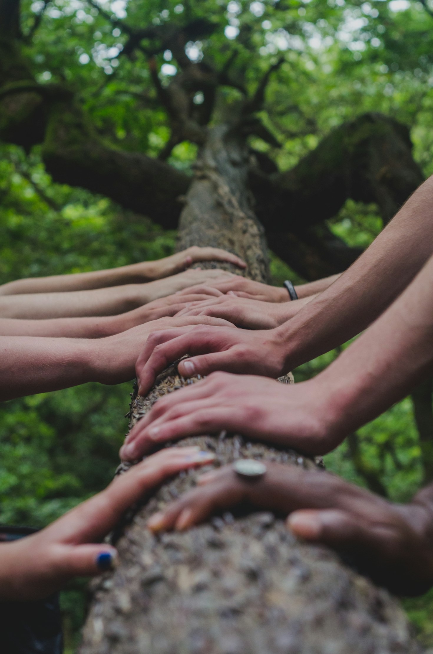 The Role of Diversity in Personal Growth